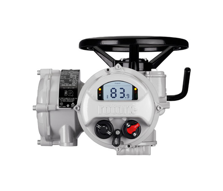 羅托克電動(dòng)執(zhí)行器型號(hào)是否齊全？哪些廠家信得過？